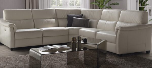 C068 Astuzia Reclining Sofa & Loveseat by Natuzzi