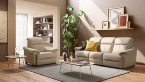 C063 Potenza Reclining Sofa & Loveseat by Natuzzi