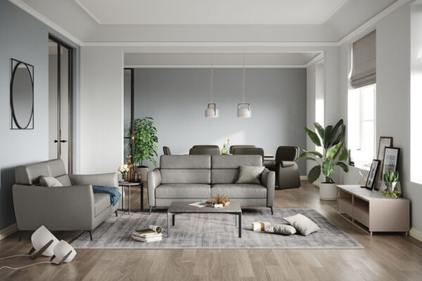 C200 Greg Sofa & Loveseat by Natuzzi